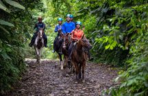 Arenal Horseback Riding to La Fortuna Waterfall 