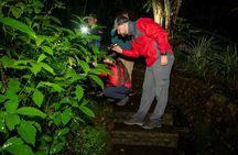 Guided Night Hike Arenal Mundo Aventura
