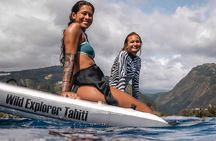 Guided Small Group Whale Watching and Swim Tour Tahiti