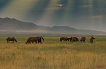 Private Issyk Kul Adventure and Karakol Skiing