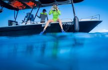 Guided Small Group Whale Watching and Swim Tour Tahiti