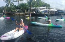 Manatee Encounter Guided Eco Kayak or Paddle Board Adventure