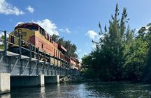 Manatee Encounter Guided Eco Kayak or Paddle Board Adventure