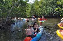 Manatee Encounter Guided Eco Kayak or Paddle Board Adventure