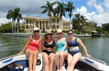 2 Hour Dolphin and Sightseeing Tour