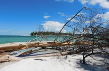 2 Hour Dolphin and Sightseeing Tour