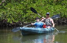 Heart of Rookery Bay Kayak Tour