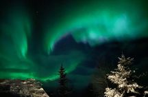 Northern Light Chase Exclusive Private Tour up to 6 Guests