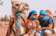 2h Quad and Camel ride Marrakech Palmeraie Moroccan Tea photos