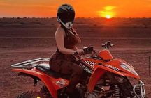 2h Quad and Camel ride Marrakech Palmeraie Moroccan Tea photos