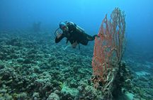 Intro to Scuba Diving Adventure in Aqaba