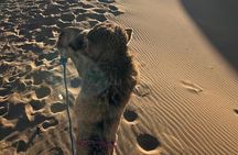 Overnight Escape: Foum Zguid to Sands of Erg Chigaga