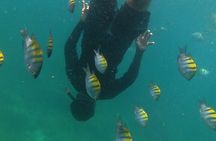 Hidden Beach Snorkeling Adventure