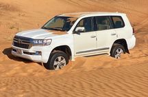 Morning Safari Dubai Camel Ride Sand Boarding Photography Water