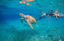 Hato Caves, Turtle Snorkel and Kenepa Beach Tour from Willemstad
