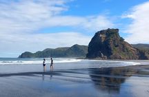 6 Hours Sightseeing Tour in Auckland