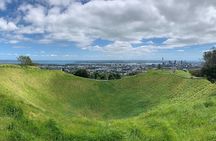 Full Day Sightseeing Tour in Auckland