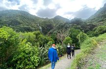 6 Hours Sightseeing Tour in Auckland