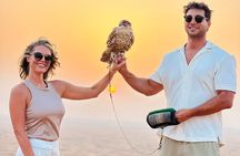 Desert Safari Adventure Dubai