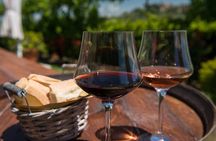 Tuscany Wines & Lunch: Montepulciano & Montalcino Experience