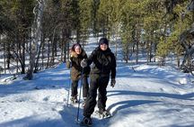 Secrets of Inari's Snowy Forest - Biologist-Led Snowshoe Walk