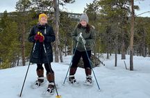 Secrets of Inari's Snowy Forest - Biologist-Led Snowshoe Walk