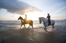 Guided Horse Riding and Sightseeing Beaches in Mahdia