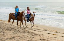 Guided Horse Riding and Sightseeing Beaches in Mahdia