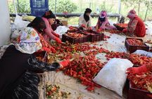 Mesopotamia Heritage Tour 4 Days