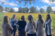 Saint-Émilion Wine Tour: Winery and Village