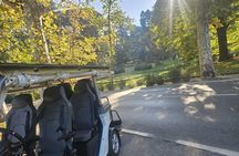 Private Golf Cart Tour: From San Frediano To Arcetri Hills