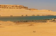 Private Tour in El Fayoum Oasis and Wadi Rayan Waterfall 