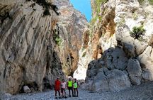 From Orosei or Dorgali: trekking to Gorropu Gorge