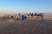 Agafay Desert Experience Quad Biking Camel Ride and Dinner Show