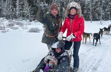 Dogsled Diable Adventure in Mont-Tremblant