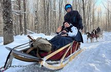 Dogsled Diable Adventure in Mont-Tremblant