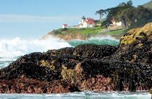 Coastal Hiking Adventures on California's Central Coast