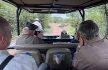 Private Full Day Big 5 Safari in Kruger NP from Hoedspruit