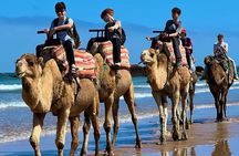 Camel Ride with khalid in Essaouira