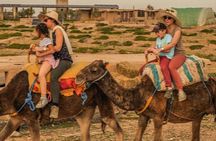 Marrakech Day Trip: Atlas Mountains, Waterfalls & Camel Ride