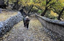 Marrakech Day Trip: Atlas Mountains, Waterfalls & Camel Ride