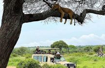 4 Days Best of Tanzania Safari Tour - Big five Experience