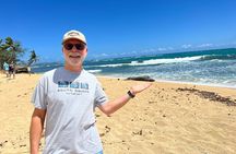 Oahu Circle Island Tour Great for Solo Travelers and Small Groups