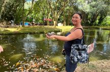 Oahu Circle Island Tour Great for Solo Travelers and Small Groups