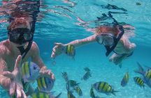 Punta Cana Snorkeling Entertainment Open Bar Music Booze Cruise