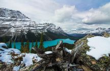 Columbia Icefield Skywalk Crowfoot Glacier and Lakes Tour