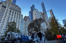 Central Park Carriage Ride NYC’s Timeless Tour