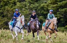 High Country Enchantment Full-Day Horse Trek