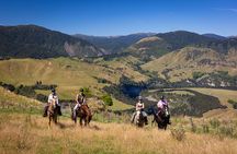High Country Enchantment Full-Day Horse Trek
