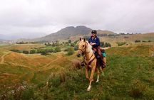 High Country Enchantment Full-Day Horse Trek